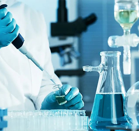 如何證明反轉(zhuǎn)錄第一鏈cDNA成功了？