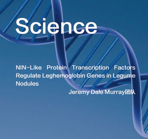 祝賀Jeremy Dale Murray團隊佳作榮登Science期刊！