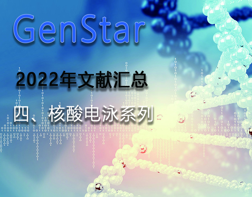 GenStar 2022年文獻(xiàn)匯總（四、核酸電泳系列）